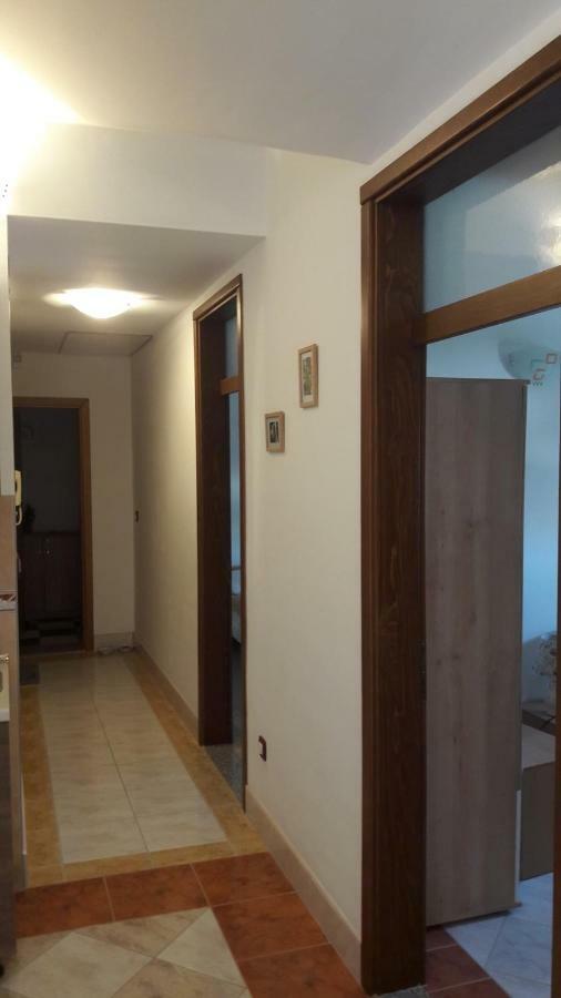 Apartament Marina & Luka Povljana Zewnętrze zdjęcie